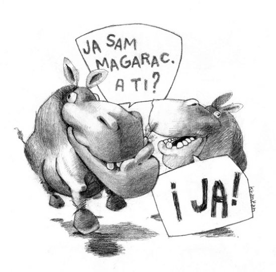 31071-magarac.jpg, 139 KB