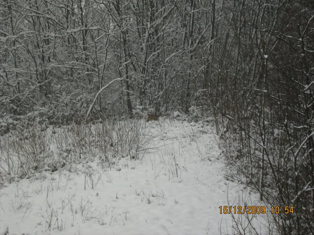 37846-IMG_0013.jpg, 883 KB