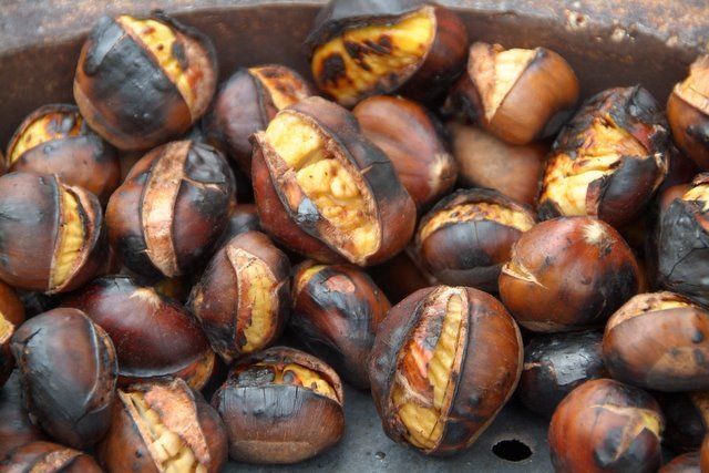 51019-kesten.jpg,  bytes