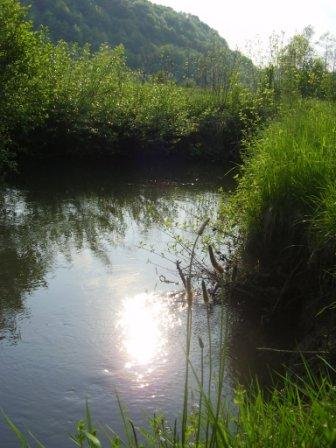 Japrica, Mala Novska Rujiška.JPG,  bytes